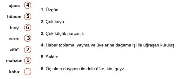 8. Sınıf Türkçe Ders Kitabı MEB Yayınları 264. Sayfa
