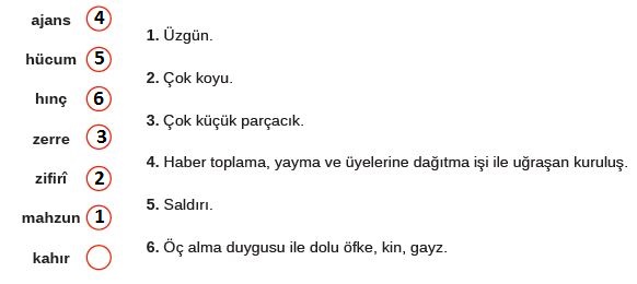 8. Sınıf Türkçe Ders Kitabı MEB Yayınları 264. Sayfa