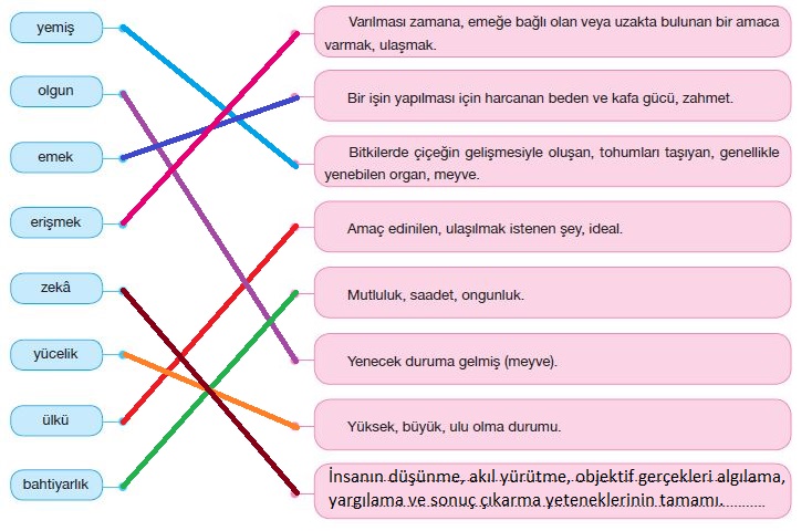7. Sınıf Türkçe Ders Kitabı Özgün Yayınları 201. Sayfa Cevapları