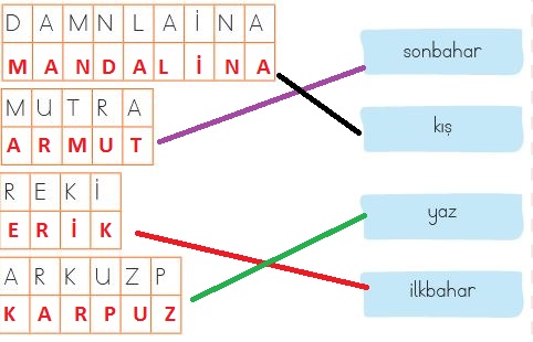 mevsimine göre sebzeler