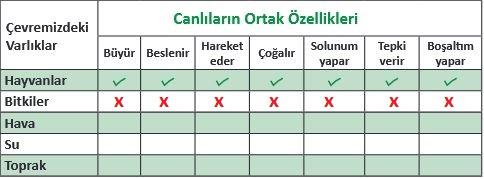 canlıların özellikleri