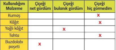 saydam maddeler