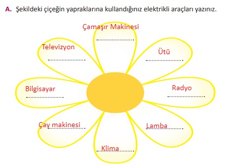 3.sınıf meb yayınları fen bilimleri 219.sayfa cevapları