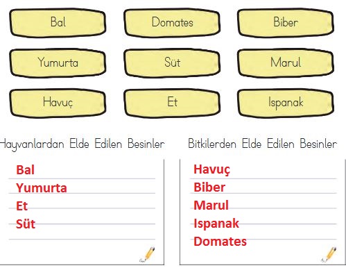3.sınıf hayat bilgisi 159.sayfa cevapları meb yayınları