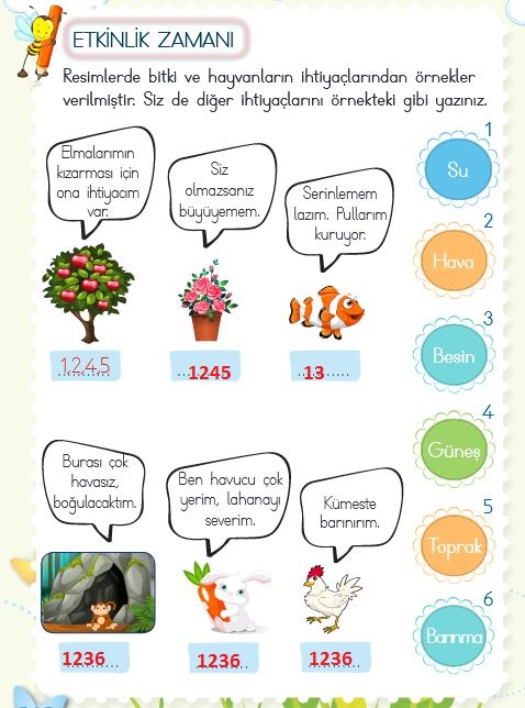 2.sınıf hayat bilgisi 212.sayfa cevapları