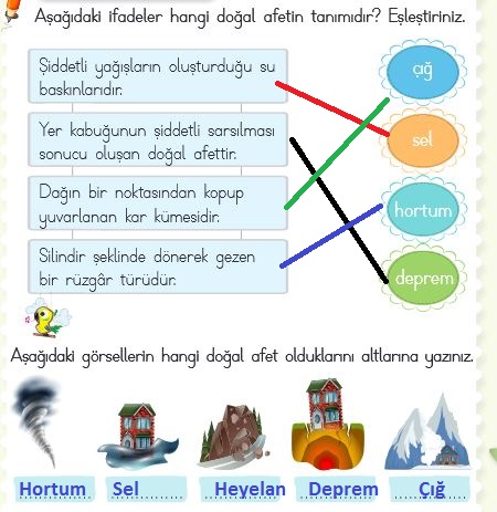 2.sınıf hayat bilgisi 227.sayfa cevapları