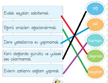 2.sınıf hayat bilgisi 234.sayfa cevapları