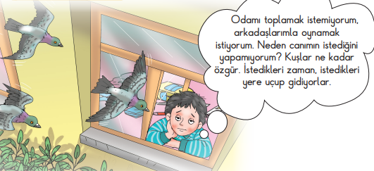 sorumluluk ve özgürlük