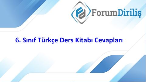 6. sınıf türkçe ders kitabı cevapları meb yayınları