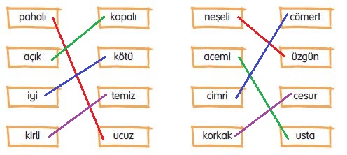 3. Sınıf Türkçe Kitabı 64. Sayfa Cevapları