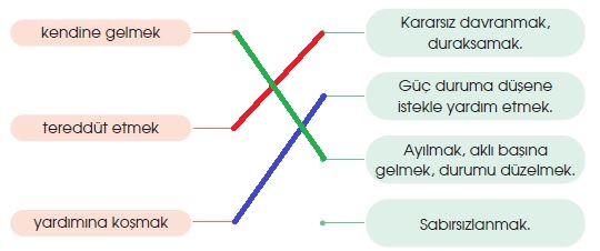 4. Sınıf Türkçe Ders Kitabı 24. Sayfa Cevapları