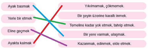 6. Sınıf Türkçe Ders Kitabı 117. Sayfa Cevapları