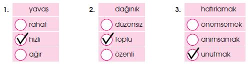4. Sınıf Türkçe 35. Sayfa Cevapları