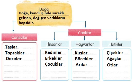 3. Sınıf Türkçe Ders Kitabı 127. Sayfa Cevapları