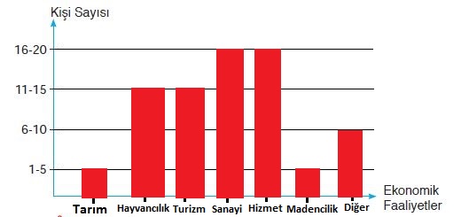 Ekonomik Faaliyetler Sütun Grafiği