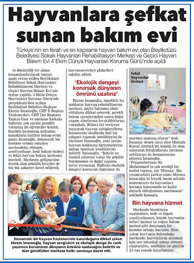 4. Sınıf Türkçe Ders Kitabı 160. Sayfa Cevapları