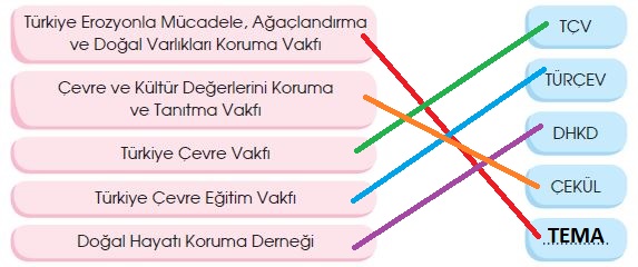 4. Sınıf Türkçe Ders Kitabı 166. Sayfa Cevapları