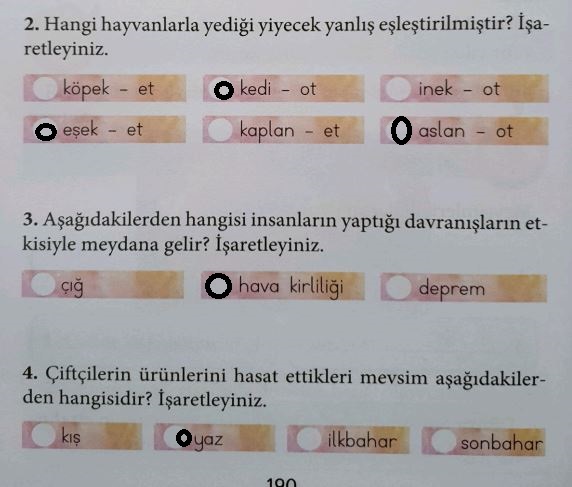 hayat bilgisi sayfa 190 cevapları