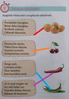 hayat bilgisi yiyecekler