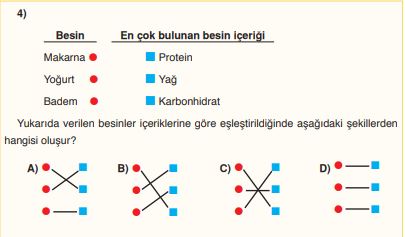 fen bilimleri besin ve içerikleri