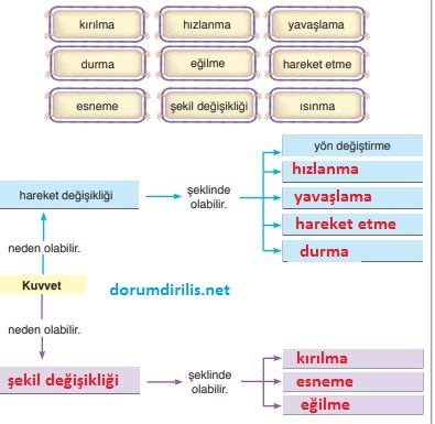 fen bilimleri 68. sayfa anka kuşu