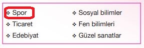 meslek seçimi