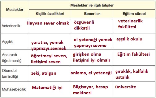 mesleki bilgiler