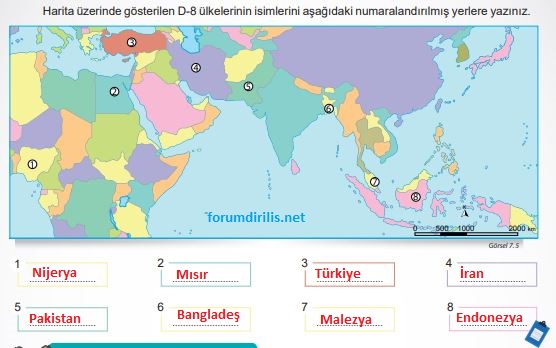 sosyal bilgiler 209 cevapları