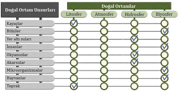 Doğal Ortam 