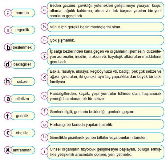 eşleştirme cevapları