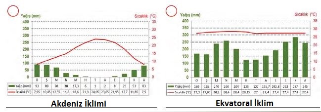 Dünya İklimleri Grafik