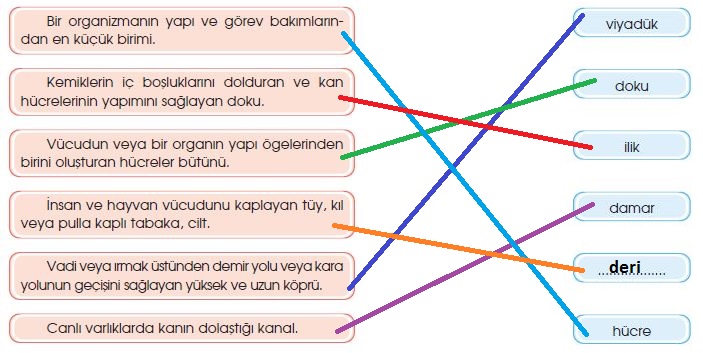 Kelime ve Anlam Eşleştirme