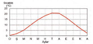 Yıllık Sıcaklık Grafik