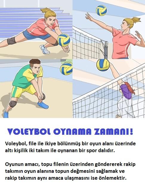 voleybol