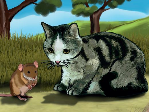 8. sınıf türkçe ders kitabı kedi ile fare metni cevapları
