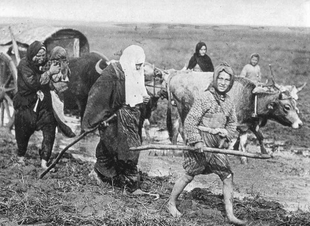 5. sınıf türkçe 33. sayfa cevapları anıttepe yayınları