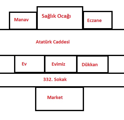 3. sınıf hayat bilgisi 56. sayfa cevapları