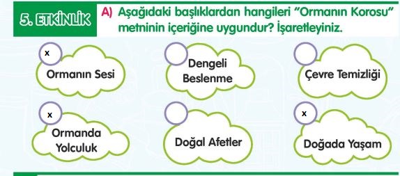 3. sınıf meb türkçe çalışma kitabı sayfa 17 cevapları