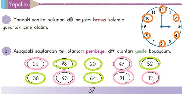 3. sınıf matematik 37. sayfa