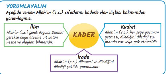 8. sınıf din kültürü ve ahlak bilgisi 13. sayfa cevapları meb yayınları