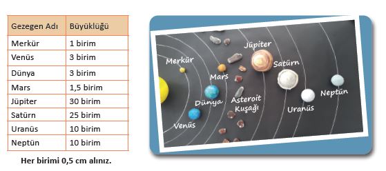 6. Sınıf Fen Bilimleri 31. Sayfa Cevapları