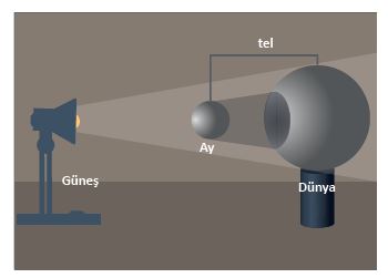 6. Sınıf Fen Bilimleri 36. Sayfa Cevapları