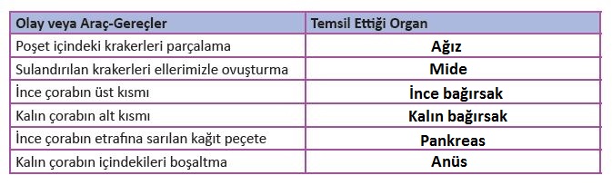 6. Sınıf Fen Bilimleri 63. Sayfa Cevapları