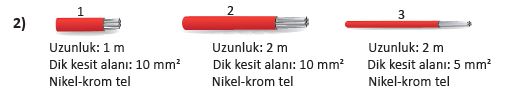 6. Sınıf Fen Bilimleri 217. Sayfa Cevapları