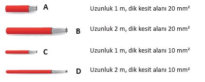 6. Sınıf Fen Bilimleri 219. Sayfa Cevapları