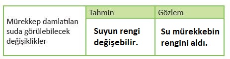 6. Sınıf Fen Bilimleri 116. Sayfa Cevapları