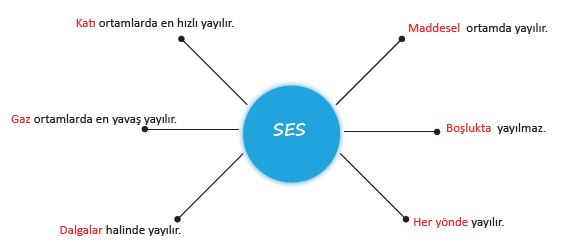6. Sınıf Fen Bilimleri 157. Sayfa Cevapları