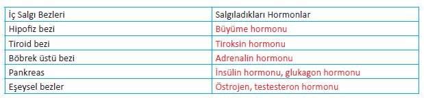 6. Sınıf Fen Bilimleri 206. Sayfa Cevapları