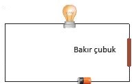 6. Sınıf Fen Bilimleri 219. Sayfa Cevapları