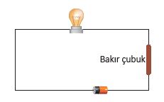 6. Sınıf Fen Bilimleri 222. Sayfa Cevapları